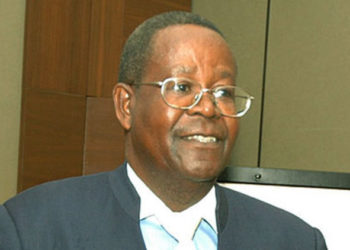Tourism, Wildlife and Antiquities Minister, Prof, Ephraim Kamuntu