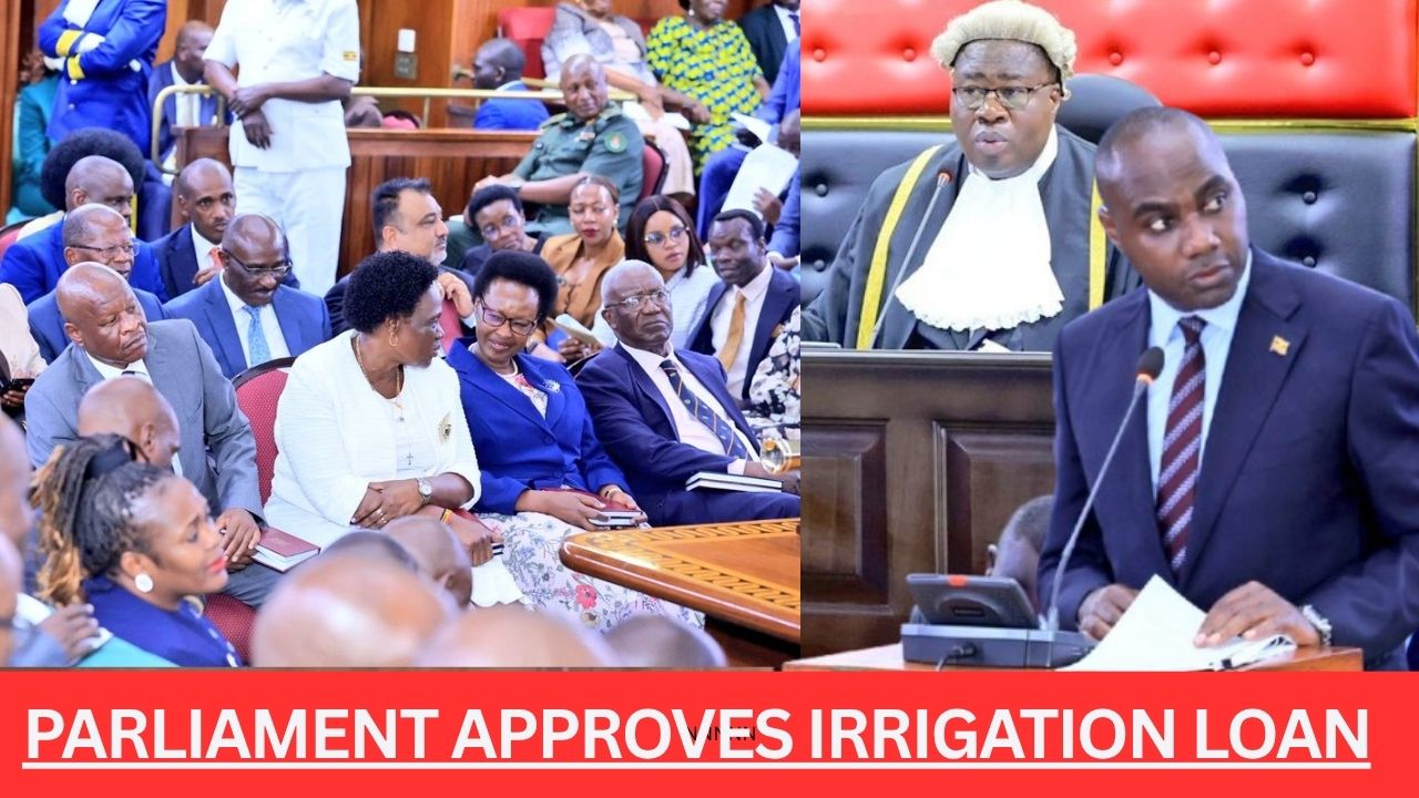 MPs APPROVE SHS700BN IRRIGATION LOAN! Govt Bets on Solar-Powered Water Systems to Boost Coffee Production, Experts Warn Taxpayers Must See Results from New Debt