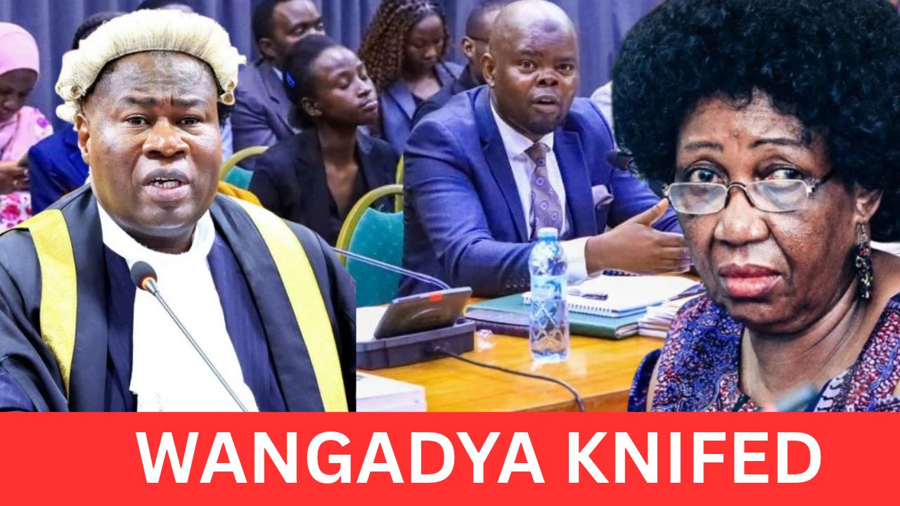 WANGADYA, COMMISSIONERS FACE AXED: Parliament Endorses COSASE Recommendation To Replace The Chairperson And Commissioners After Months Of Bitter Internal Disputes