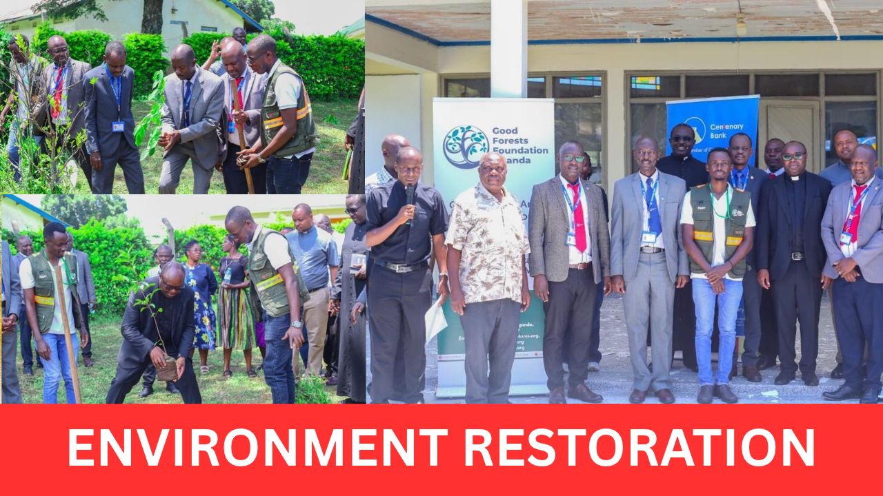CENTENARY BANK, CHURCH JOIN TREE-PLANTING DRIVE: Centenary Bank, Kabale Diocese and Good Forests Foundation Uganda Have Partnered To Plant 12,000 Trees In Kanungu As Part Of A Five-Year Campaign To Establish 500,000 Trees Across Catholic Dioceses